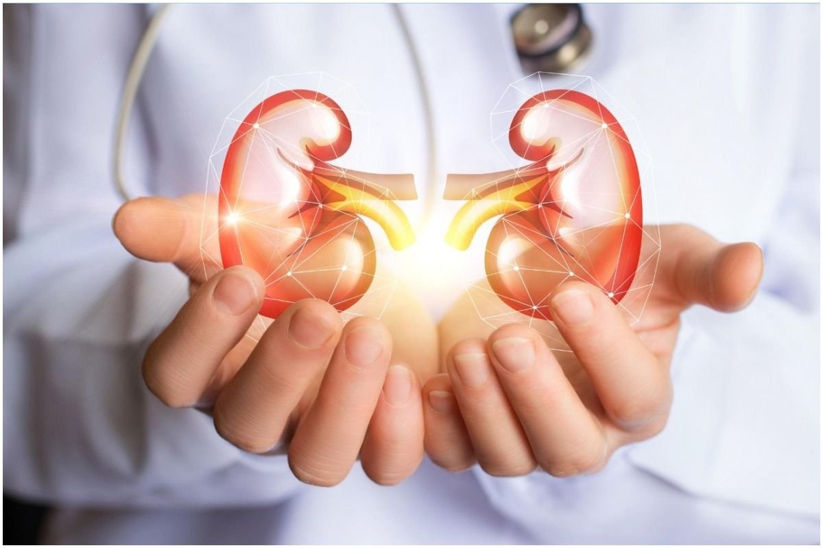  World Kidney Day 2022: किडनी रोगों के लक्षण, कारण और उपचार