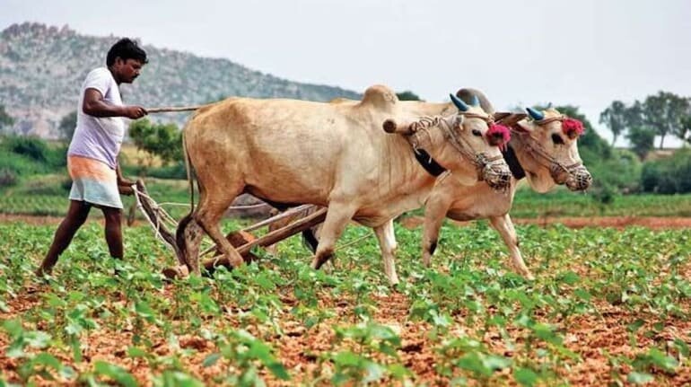  किसानों के लिए एक लाख करोड़ की योजनाएं मंजूर