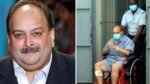 भारत से भगौड़ा मेहुल चोकसी को बेल्जियम कोर्ट ने जमानत देने से किया इंकार