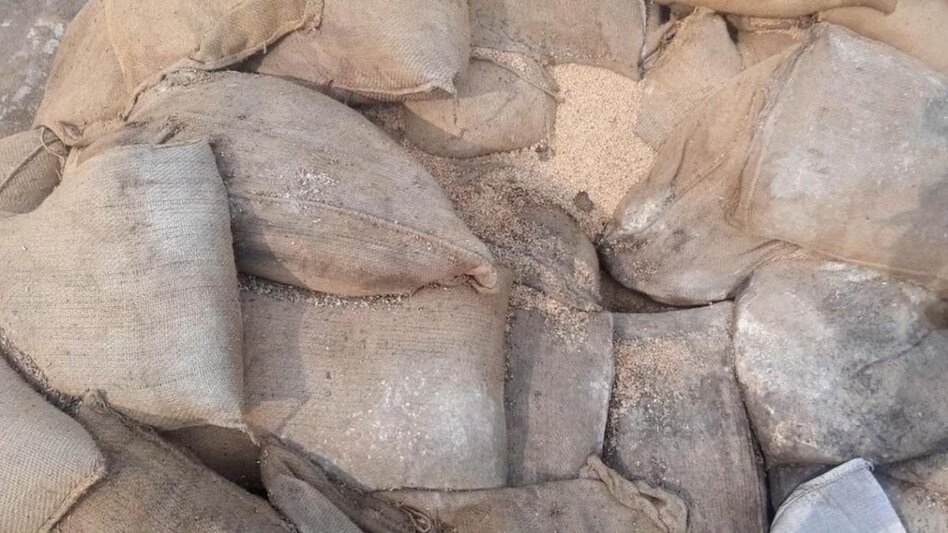 मध्य प्रदेश में भ्रष्ट अधिकारियों ने सड़ा डाला 22 हजार मीट्रिक टन गेहूं